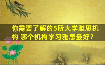 你需要了解的5所大学雅思机构 哪个机构学习雅思最好？